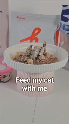 Feed My Cat With Me ASMR 🐾😻