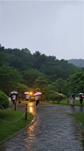 Gentle Rain Ambience 🌧️ Deep Focus Sounds for Study & Work