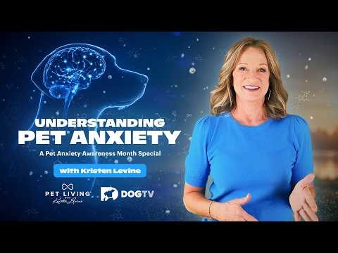 Understanding Pet Anxiety