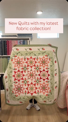 Here’s a few projects that use my ‘Front Porch’ fabric collection. Village Green, Dutch Delight, and Black-Eyed Judy. And a couple of pillows using the cheater print! #jillilystudio #quilting #quiltsofinstagram #sewing #quilt | Jillily Studio