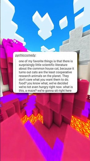 Cat Science! 😹🧪