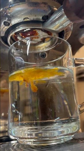 Sage (Breville) Oracle Jet Bottomless Long Black