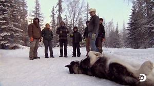 37K views · 2.2K reactions | The Raney family is putting their all into finishing the new cabin ahead of the harsh winter. Well... almost every member of the family is  Find out on a brand-new episode of #HomesteadRescue: Raney Ranch TONIGHT at 8p ET on Discovery. | Homestead Rescue | Facebook