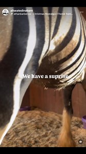 593K views · 10K reactions | I figured the best way to start all of...