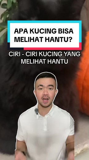 Kucing dan Pengalaman Melihat Hantu