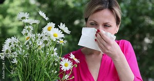 Allergic woman blows nose after being near allergenic flowers. Lady with bouquet of chamomiles suffers from sneezing and irritation. Allergy in spring