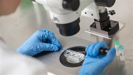 What exactly does the Catholic Church say about IVF? - Rome Reports