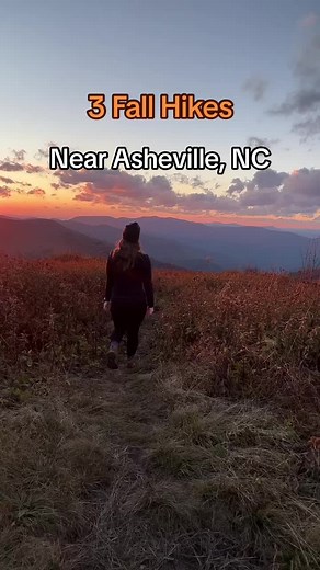 visitasheville on TikTok