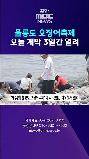 The 24th Ulleungdo Squid Festival Kicks Off Today, Running for 3 Days at Jeodong Port #shorts (Po...