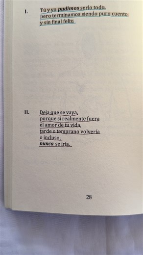 Sanando Heridas: Un Viaje de Emoción y Poesía
