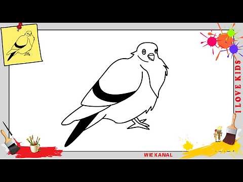 Taube zeichnen 2 schritt für schritt für anfänger & kinder - Zeichnen lernen