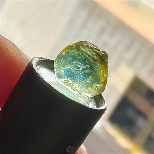 One of the many gorgeous Sapphire found in the wash we brought from Pat's in Rubyvale highly recommend this place to the novice like us to the more advanced 🤠🤸🤠🤸🤠 | Eldorado/Beechworth Prospecting & Fossicking Adventures