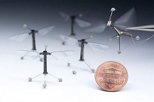 RoboBees: Autonomous Flying Microrobots