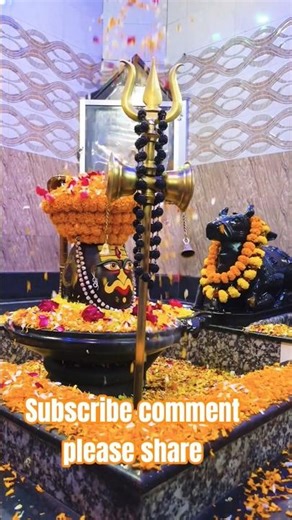 Rango se Rang Mile Naye Dhang khile♥️