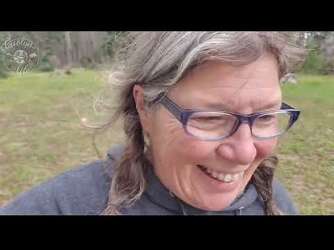 Highlights of My RV Life in 2022// Solo Female RV Life
