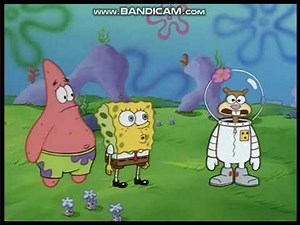 sandy cheeks crying (czech dub version)