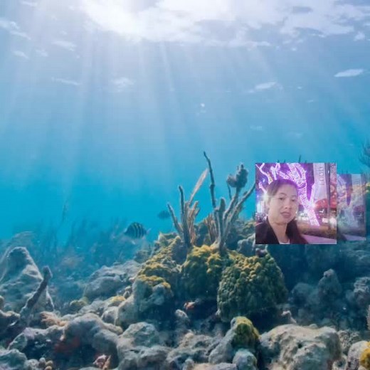 วิดีโอของ Bus Busbus (@busbusbus6) พร้อมเพลง original sound - xiaojiajia