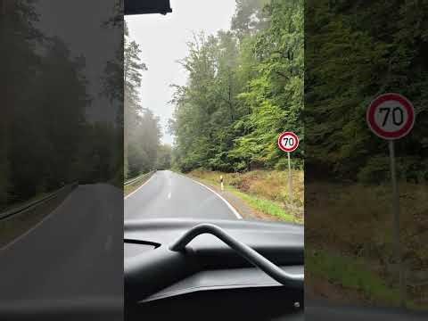 GERMANY BUS RIDE 🚍 | Relaxing National Road POV #Shorts