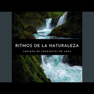 Música Tranquila Para Trabajar