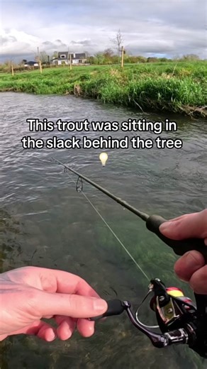 Fishing Tips: Finding Trout in Slacks