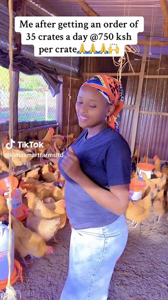 Caring for Chickens: Daily Life in a Chicken Coop