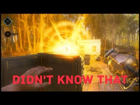 Super tricks and chips in Hunt Showdown #huntshowdown