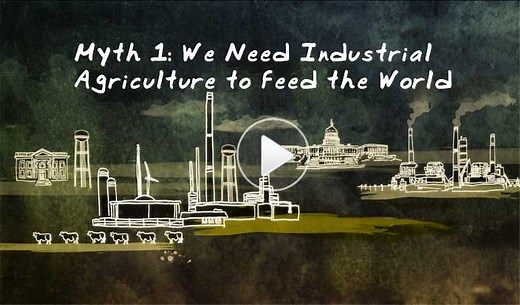 Food Mythbusters - Real Food Media