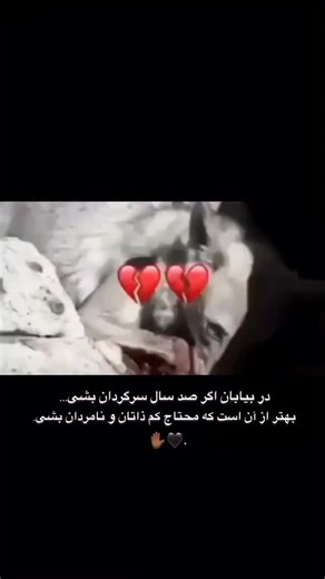 | OMIX | on Instagram: "This viral video captures a man repeatedly attempting to flee a pursuing Belgian Malinois through a kennel gate, creating a comedic "infinity loop" as the dog's relentless energy traps him in a cycle of evasion, filmed at what appears to be a dog training facility. , an account specialising in absurd, decontextualised human moments, the clip amassed over 8 million views and 34,000 likes within weeks, highlighting the breed's renowned stamina—Belgian Malinois can sustain h