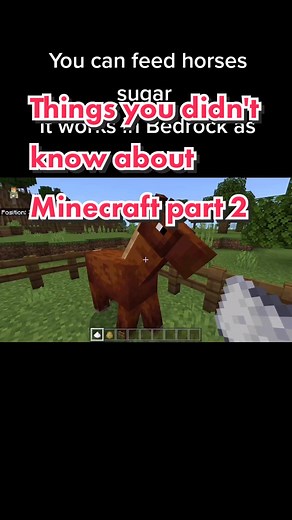 Minecraft Horse Feeding Guide