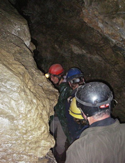 Learn About Caves and Cave Animals for Kids
