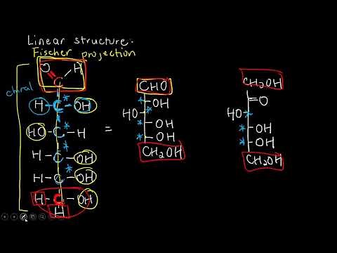 BIOCHEM 3 - Linear Structure of Carbohydrates