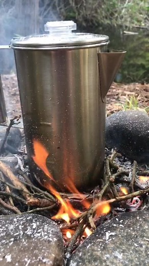 pine needle tea #nature #comfort #michigan #foryou #healthyliving #fyp