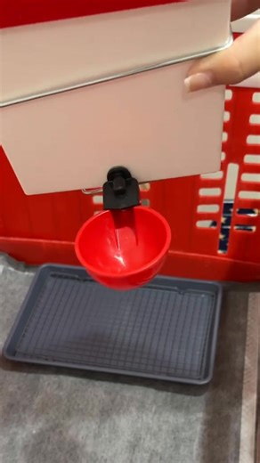 Ducking brooder setup & tips! Here’s you’re reminder that brooders CAN be low maintenance. 🐥🦆✨ #brooder #setup #chickensoftiktok #ducks #ducklings | Simply Chickens