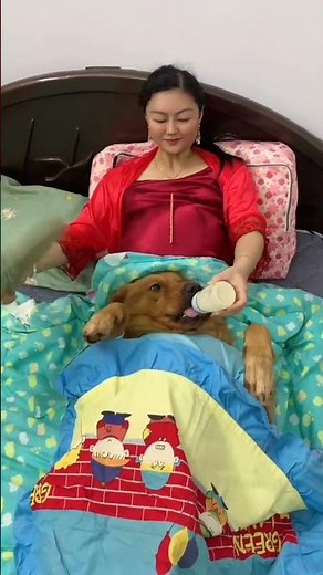 Chinese lady love with dog | Chinese lady feeding dog #dog #dogloverhazara #doglovers