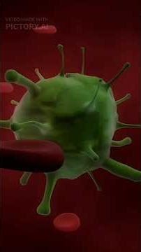 “The Day Humanity Finally Saw the Invisible Enemy”