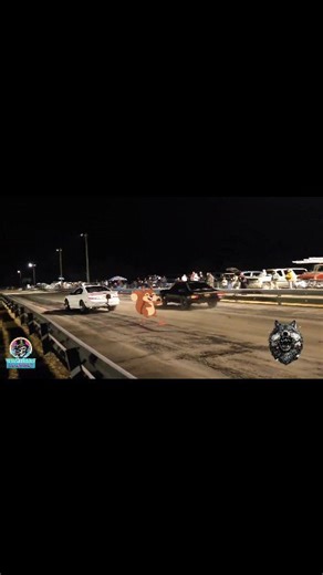 Squirrel!!!!! | Ash Attack