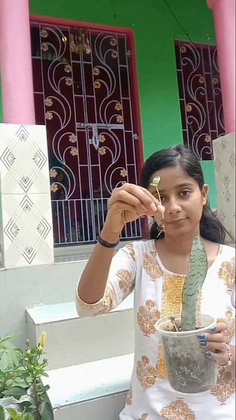 Watermelon seeds grow karna kya itna asaan hai??😱 #gardening #gardeningtips #plants #watermelon