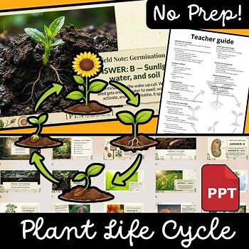Plant Life Cycle Escape Room | Science Review Game | No Prep Activity Grades 2–4