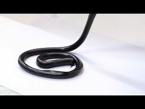 Black Urethane Adhesive Sealant for Auto windshield glass