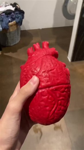 Washing machine heart #mitski #Mitski #mitskitok #mitskifan #washingmachineheart #fyp #foryou