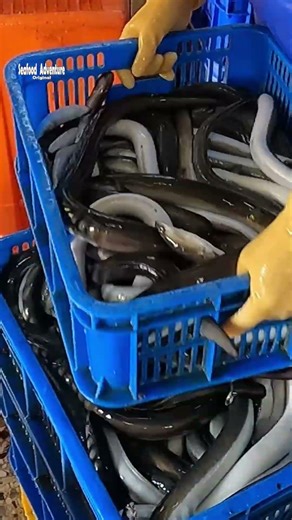 Master chef level eel fillet cutting skills #chefskills #eelfillet #knifeart