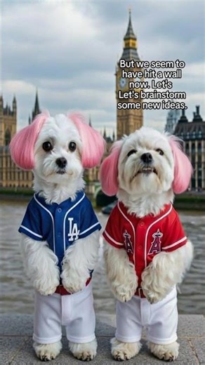 hit a wall - English Idiom