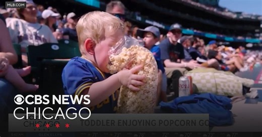 Toddler enjoys popcorn face-first at ballgame