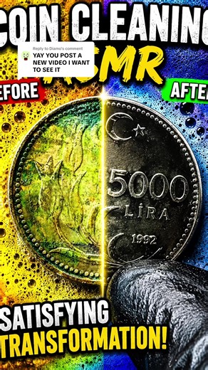 Satisfying ASMR Coin Cleaning