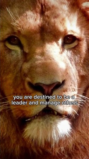 Destiny (Expression) Number 1 in #numerology