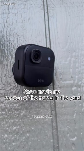 Ever since it snowed and I saw all different kinds of tracks in the snow. It peaked my curiosity of what is roaming our yard when we are not looking?! Also why not capture future falls in the pond. We all know I’m not done with those! 2k video resolution 4x zoom Color vision in low light Connect multiple modules to create zones ( I created a new zone up by the shop) Wireless and long lasting battery Quick and easy installation Comment BLINK for the 🔗 or head to my Lowes Storefront in bio #lowes