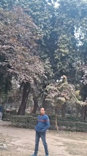 Apna tujhe Hum Banayenge#trending #ytshorts #love