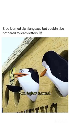 ENDSHUMOUR 😂🎥 on Instagram: "Follow (us) @ENDSHUMOUR for more viral content 🍿🍿 Penguins of Madagascar is a 2014 animated spin-off from the Madagascar film series, following the beloved penguin characters—Skipper, Kowalski, Rico, and Private. The film focuses on their secret-agent-like adventures, as they team up with an elite undercover organization called “The North Wind” to stop a villainous octopus named Dr. Octavius Brine. The penguins, known for their military-style tactics and quirky t