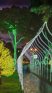 2.3K views · 90 reactions | Tired of bulky, inflexible lighting that creates gaps and uneven lines, wasting your time and leaving your display looking unprofessional? We hear you, and we've got the solution!  | Christmas-Lights-Etc | Facebook