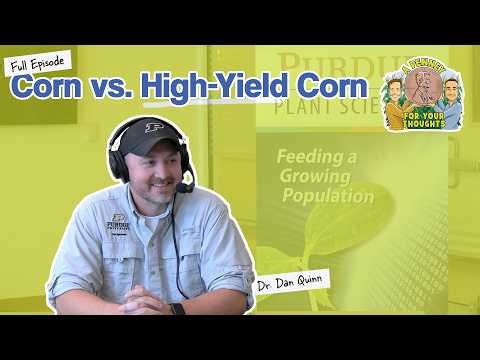 Corn vs. High-Yield Corn with Purdue University’s Dan Quinn